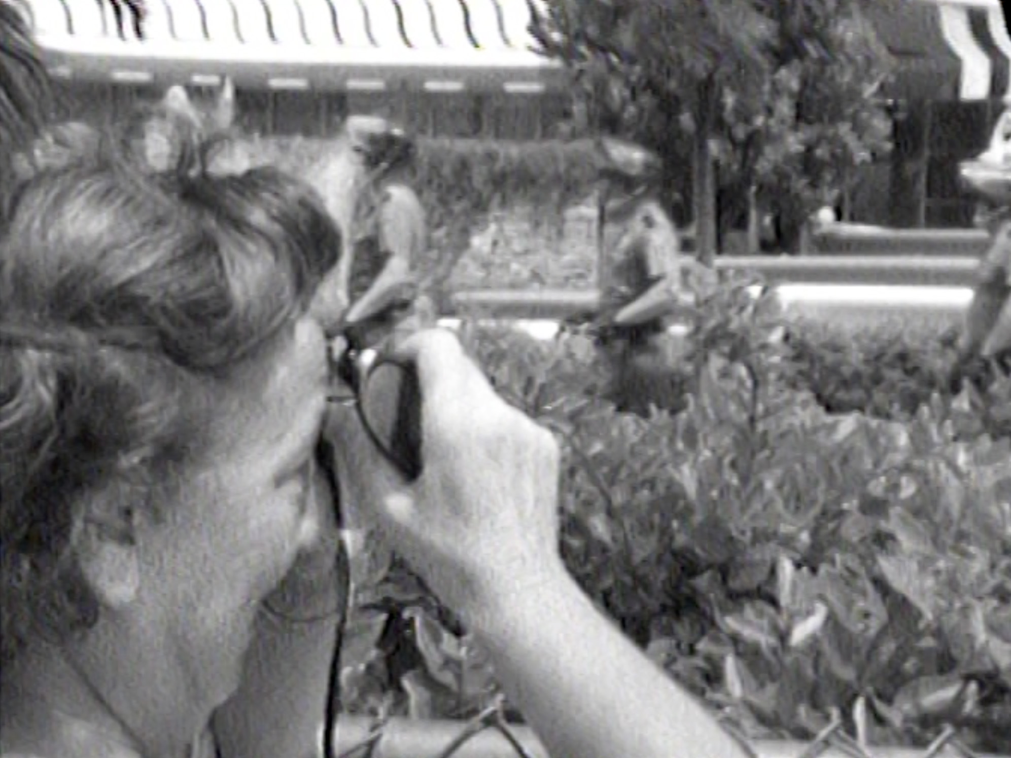 A tourist photographs riot police en route to quell a protest at the 1972 Republican Convention